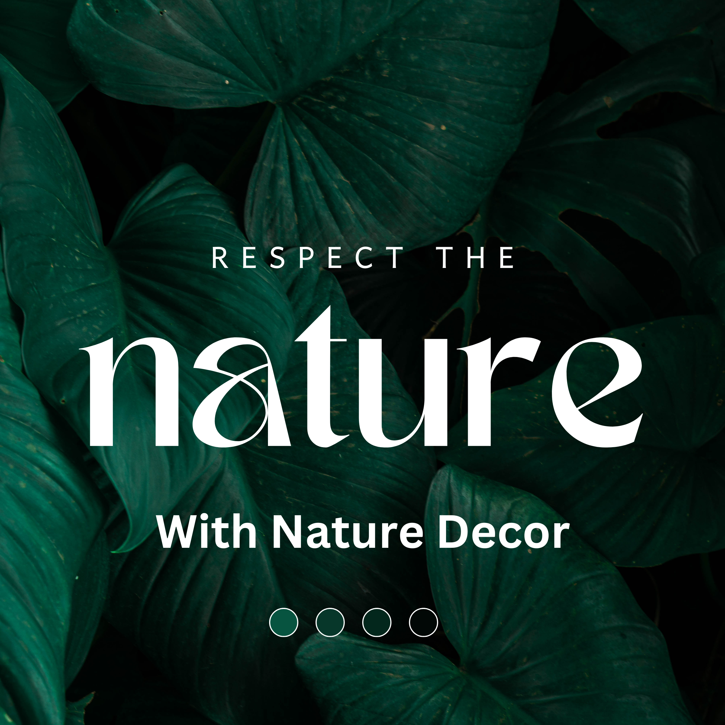 Best School Management Software Company in India